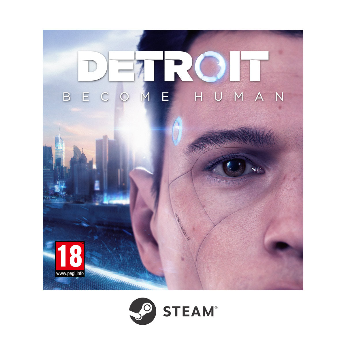 Amazon.com: Detroit: Become Human - Collector's Edition - PC